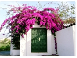 Tenerife Apartments